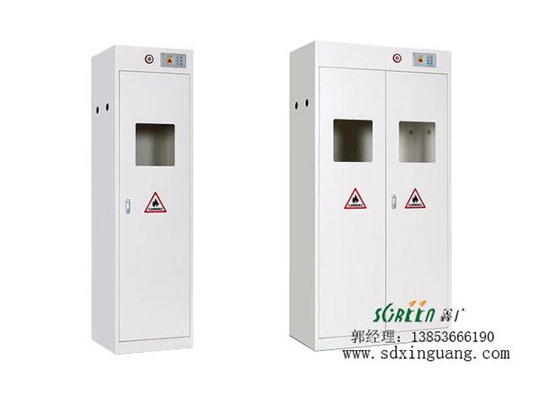 山東濰坊智能型含報警系統氣瓶柜