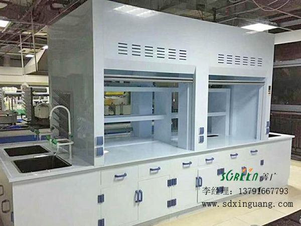 實驗室PP通風柜