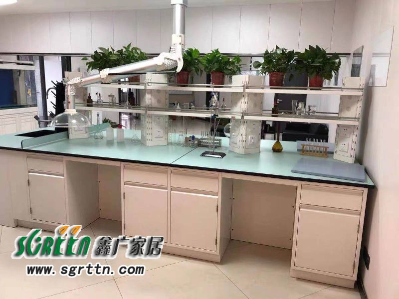 化驗(yàn)室pp操作臺(tái)，實(shí)驗(yàn)臺(tái)鋼木化學(xué)試驗(yàn)桌，工作臺(tái)學(xué)校通風(fēng)柜，全鋼試驗(yàn)臺(tái)