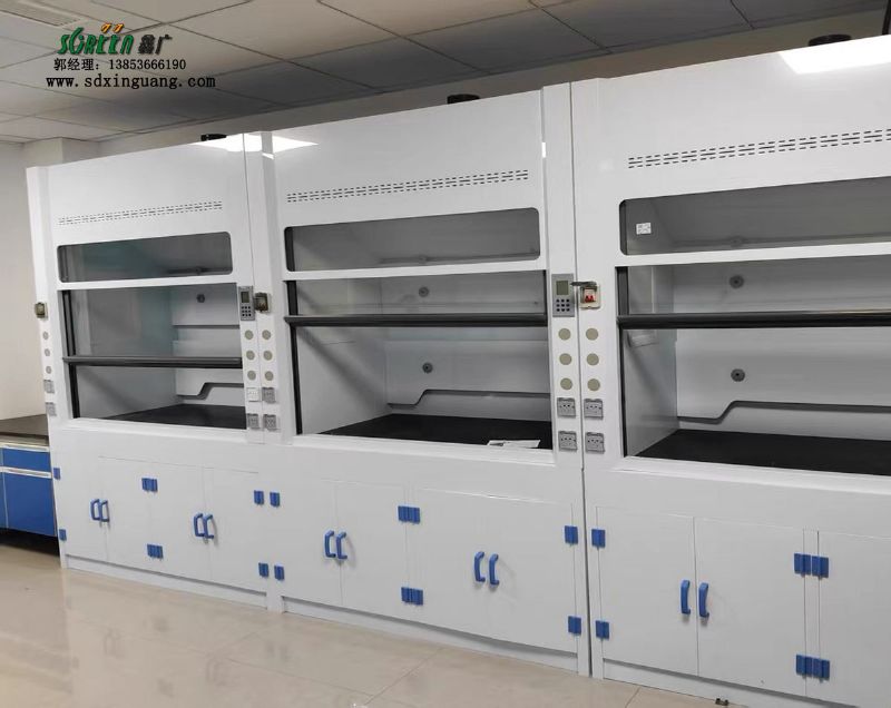 山東pp通風(fēng)櫥供應(yīng) 實(shí)驗(yàn)臺(tái)通風(fēng)柜 通風(fēng)柜廠家