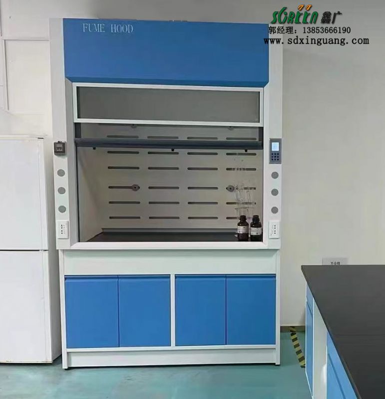 山東實(shí)驗(yàn)臺(tái)廠家實(shí)驗(yàn)室全鋼通風(fēng)柜桌上型排風(fēng)櫥