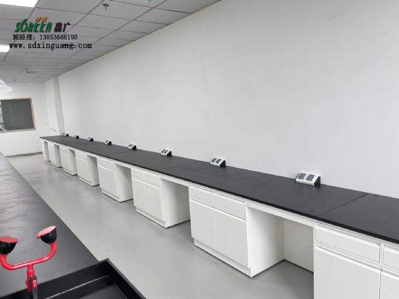 濰坊試驗臺廠家實驗臺家具全鋼試劑柜廠家供應