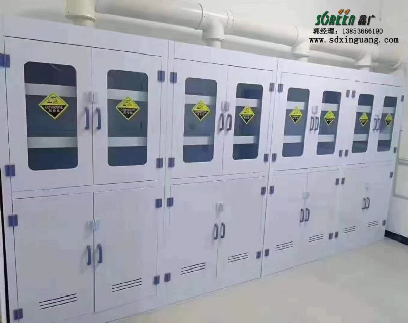 山東實驗室家具 pp試劑柜 防腐儲物柜廠家