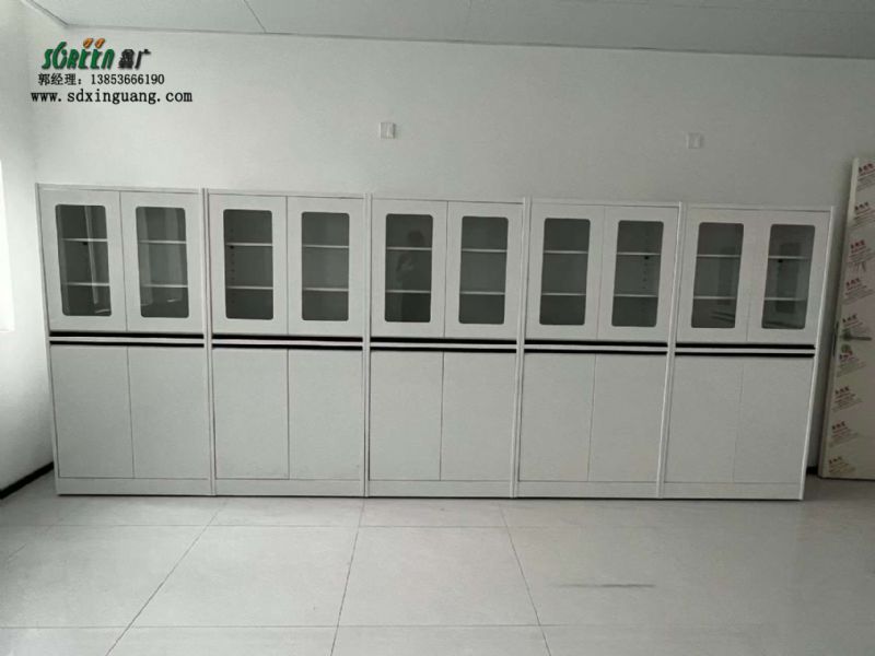 山東實驗室家具定制全鋼器皿柜實驗室試劑柜