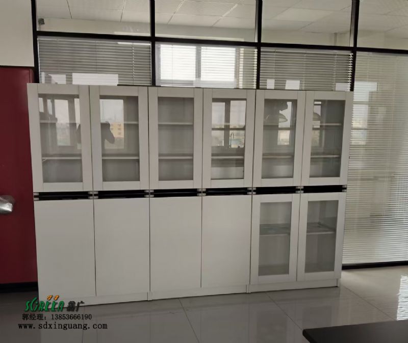 濰坊實驗臺設備實驗室器皿柜試劑柜生產廠家