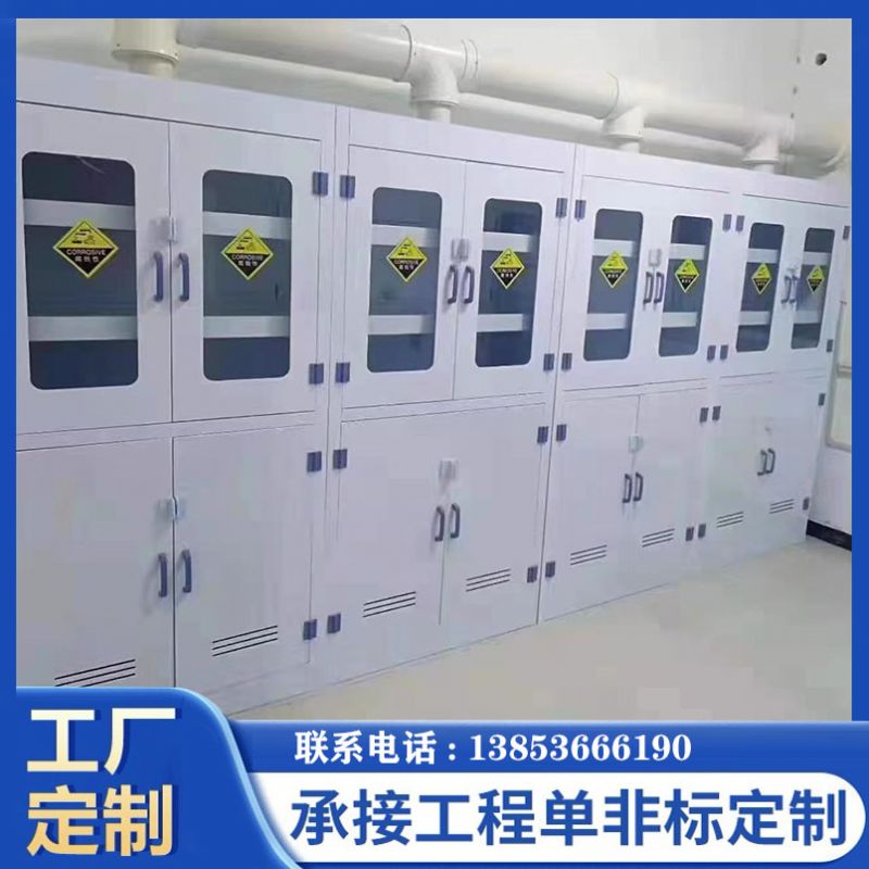 PP器皿柜 實驗室試劑柜雙鎖防腐蝕器強酸堿儲存柜