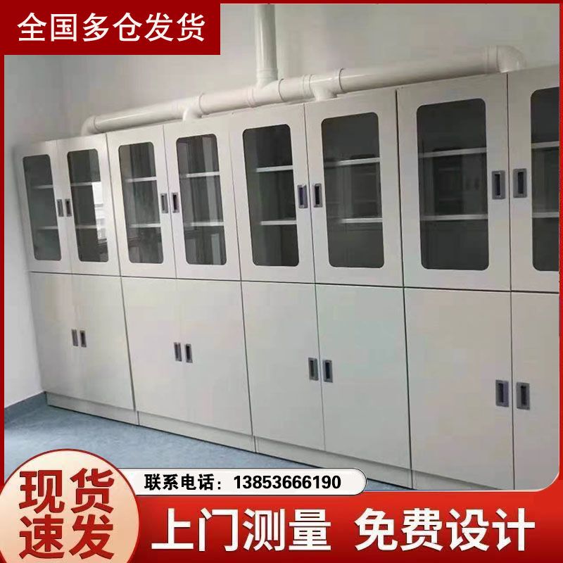 山東試驗(yàn)臺廠家實(shí)驗(yàn)室器皿柜試劑柜廠家