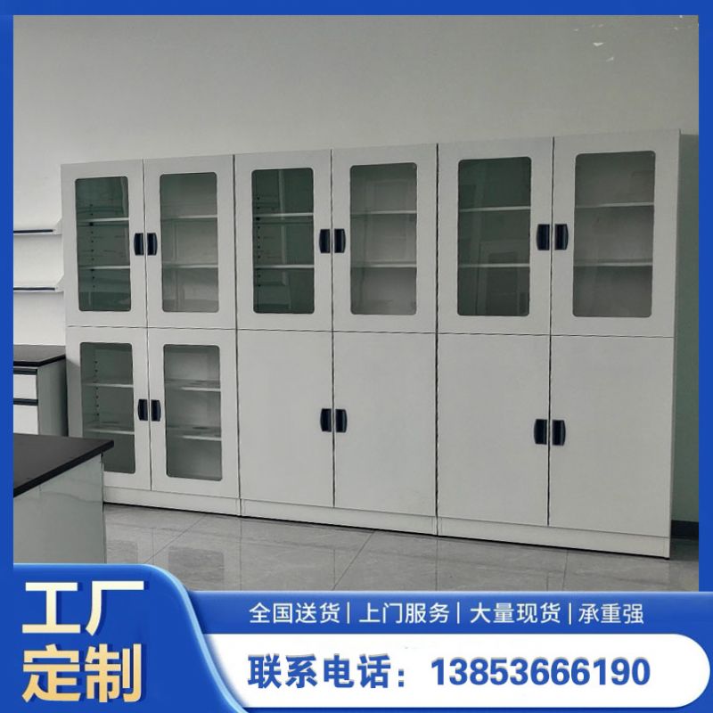 山東實驗室設(shè)備實驗室器皿柜 化驗室試劑柜